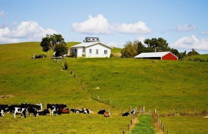 去新西蘭打工所需條件.png 去新西蘭打工所需條件.png